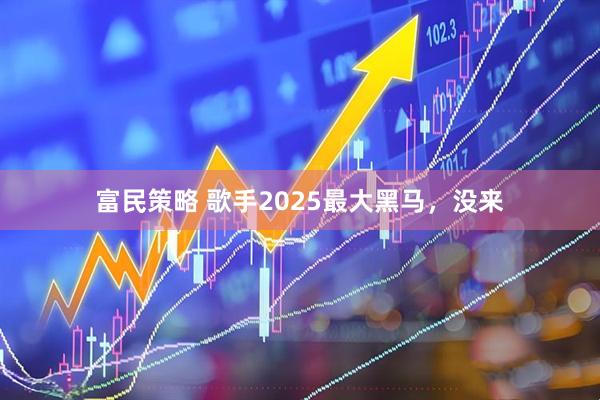 富民策略 歌手2025最大黑马，没来