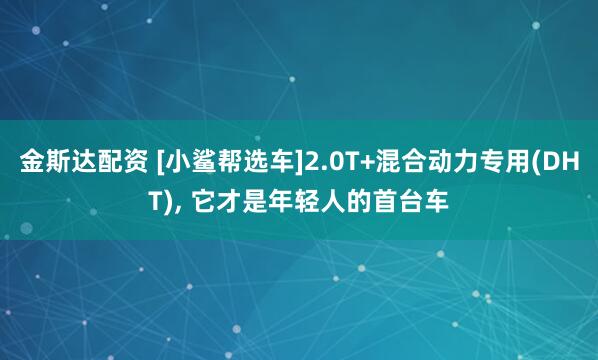 金斯达配资 [小鲨帮选车]2.0T+混合动力专用(DHT), 它才是年轻人的首台车