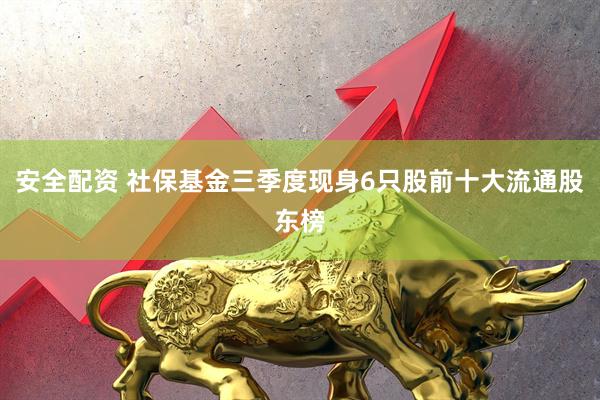 安全配资 社保基金三季度现身6只股前十大流通股东榜