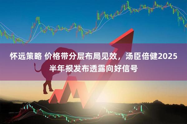 怀远策略 价格带分层布局见效，汤臣倍健2025半年报发布透露向好信号